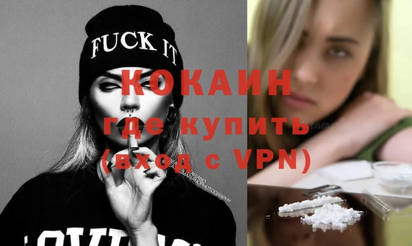 ГАЛЛЮЦИНОГЕННЫЕ ГРИБЫ Богданович
