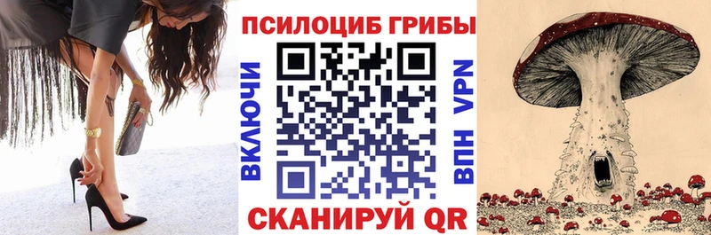 Купить закладки  Краснознаменск  Псилоцибиновые грибы мицелий 